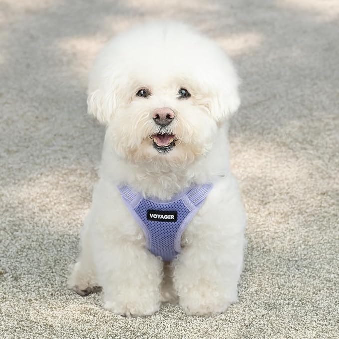 Best Pet Supplies Voyager Mesh Dog Breathable Harness Reflective Stitching, All Weather Adjustable for Walking Training, or Running - Heavy Duty & Durable, Harness (Lavender), XS