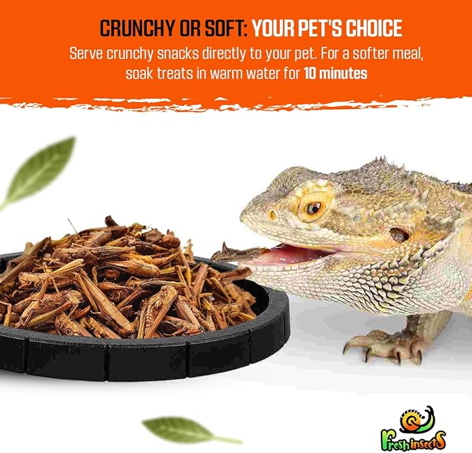 Medley Treat Bearded Dragon Food - Freeze Dried Mealworms, Grasshoppers, Crickets, Quality Tested, Vitamin & Calcium Enriched, Essential Proteins, Fats & Minerals - For Bearded Dragons, Reptiles 2.5oz