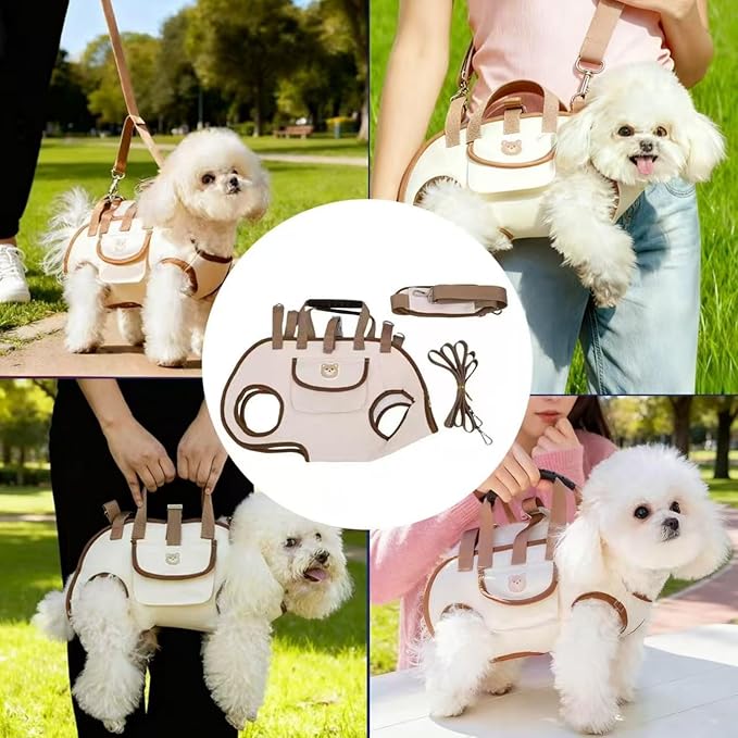 Portable Small Dog & Cat Pet Carrier Sling & Backpack for Small Dogs & Cats & Puppy, Dog & Pet Purse Bag Carrier Sling for Small Dogs with Dog Traction Leash, Crossbody Sling Carriers (Orange L)
