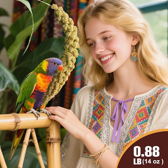 Sun-Dried Spray Millet for Birds - 0.88LBS Natural Non GMO, Healthy Millet Bird Treat, Bird Treats for Parakeets, Parrots, Cockatiels, Lovebirds, Finches & Canaries Food