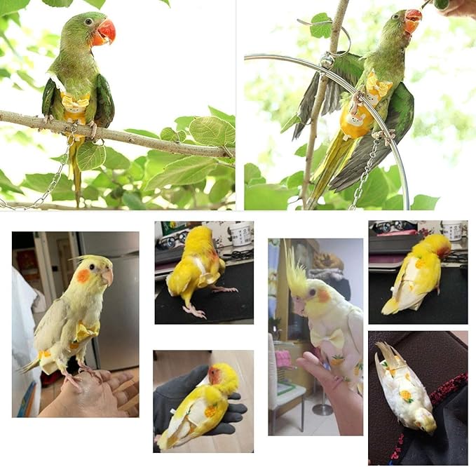 QBLEEV Bird Diaper Cockatiel Clothes Flight Suite, Reusable Parrot Nappy with Waterproof Inner Layer, Cute Pigeon Pants Urine Wet Suit Costume for Conure Macaw African Budgies Sun Parakeet