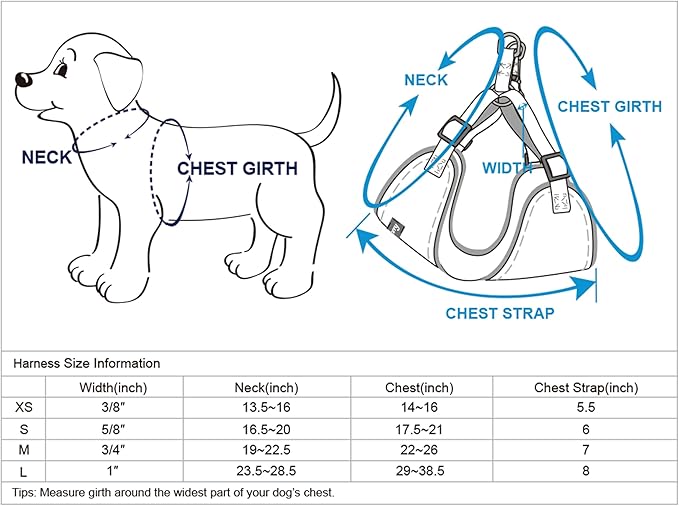 Blueberry Pet Essentials Pastel Color Reflective Dog Harness Vest, Chest Girth 22" - 26", Baby Blue, Medium, Adjustable Harnesses for Dogs