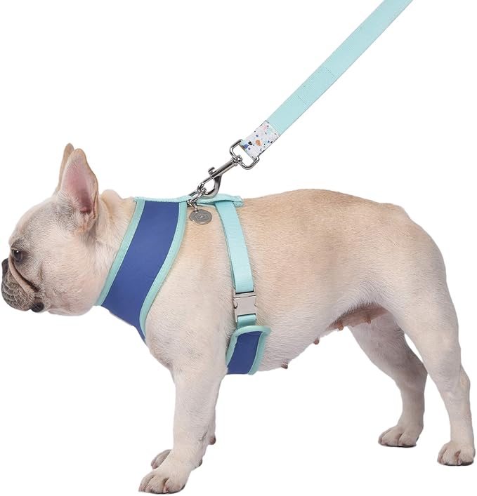 Now House for Pets by Jonathan Adler Jonathan Adler: Now House Terrazzo Reversible Harness, Large | Fashionable and Functional Way to Keep Dog Looking Great | Cute Dog Accessories for Pets