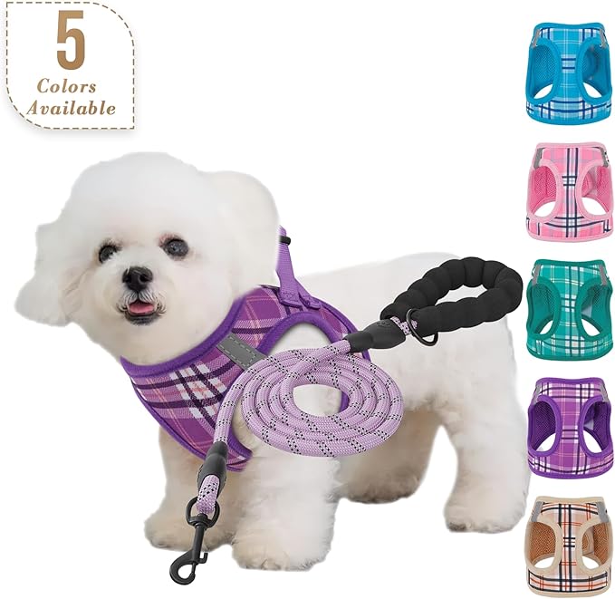 Athena Collection Small Dog Harness with 5 ft Leash, Step-in Dog Harness Leash Set Small No Pull Dog Vest Harness with Reflective Strips Adjustable Velcro, Easy Walk Puppy Harness, Purple
