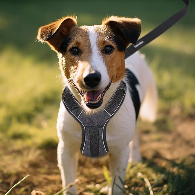 No Pull Dog Harness Vest Reflective Front Clip Vest with Pocket, Adjustable 2 Metal Rings 2 Buckles Easy to Wear & Take Off (Large, Red)