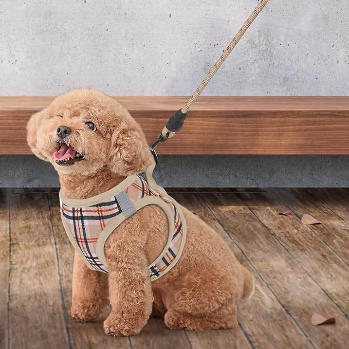 Athena Collection Small Dog Harness with 5 ft Leash, Step-in Dog Harness Leash Set Small No Pull Dog Vest Harness with Reflective Strips Adjustable Velcro, Easy Walk Puppy Harness, Beige