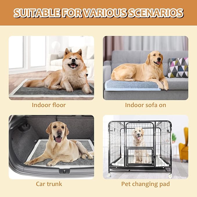 Dog Pee Pads Extra Large 28" x 34", 40 Count, Activated Carbon Charcoal Puppy Pads XL, Potty Pads for Dogs with Adhesive Sticky Tape, Disposable Training Bed Pads for Pets, Doggies, Cats