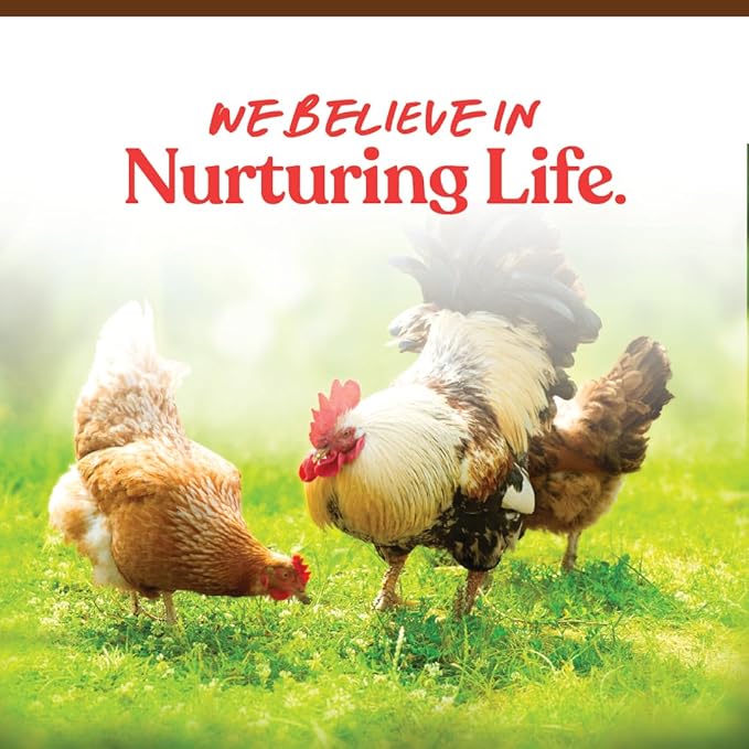 Manna Pro Harvest Delight - Whole Ingredient Chicken Treat - Harvest Mix of Grains, Raisins, Tomatoes, Carrots, Sunflower Seeds - Mixed Flock Poultry Treat - 2.5 lbs