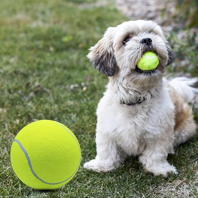 Magicorange 4 Pack 9.5 inch Giant Tennis Ball Large Dog Tennis Ball Pet Balls for Dogs for Outdoor/Indoor Sports Dog Gift with Needle (Multicolor, 9.5 inch)