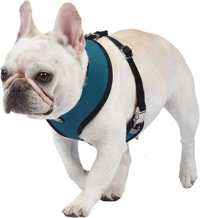 Now House for Pets by Jonathan Adler Jonathan Adler: Now House Leo Reversible Harness, Large | Stylish, Fashionable, and Functional Way to Keep Your Dog Looking Great | Adorable Dog Accessories