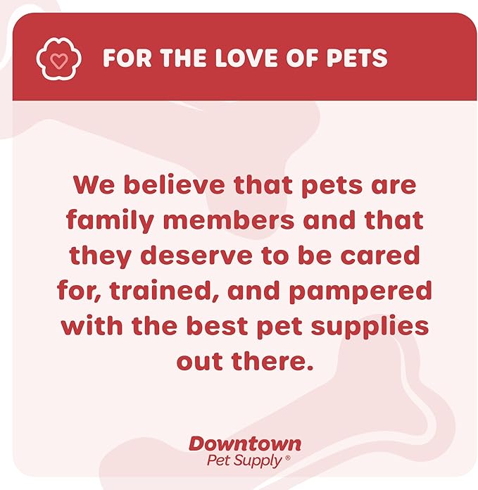 Downtown Pet Supply Step-in Dog Harness – No Pull, Adjustable Padded Mesh with Reflective Trim, Secure Buckle Strap – Comfortable & Breathable Small Dog Harness, X-Large, Pineapple
