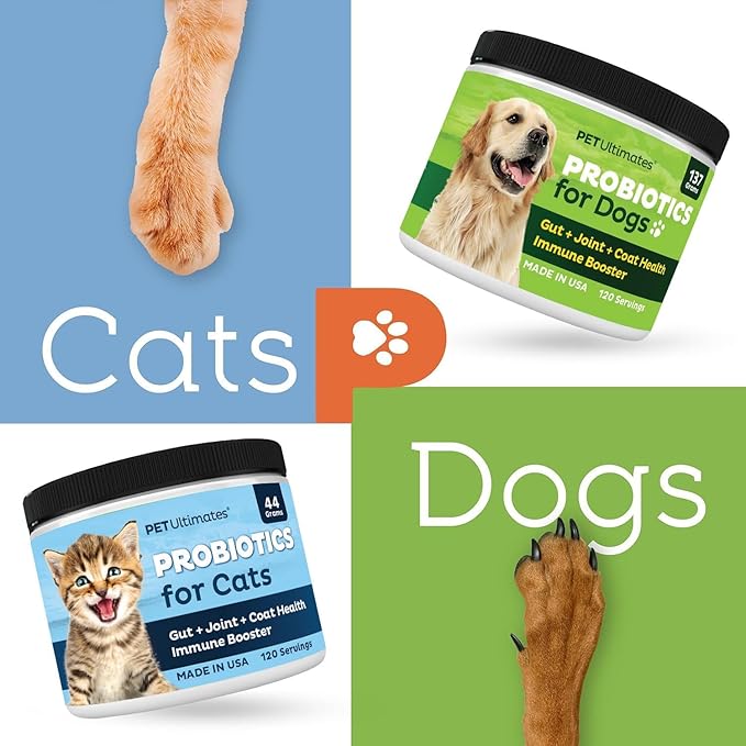 Pet Ultimates Probiotics for Cats – 2 Pack of 20-Species Cat Probiotic Powder to Treat Diarrhea, Vomiting, Digestive Support & Antibiotics Recovery – Cat's Health Supplies (44 gr)