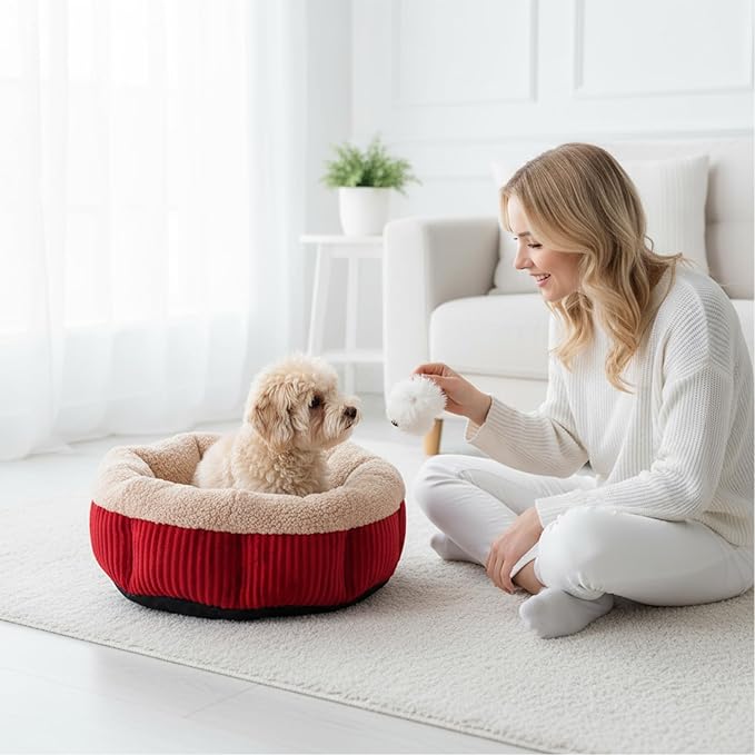 4 Packs Round Donut Cat Beds 20in Soft Plush Pet Beds Washable Calming Pet Sleep Cushions for Cat, Small Dogs, Puppy, Kitten