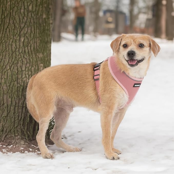 Best Pet Supplies Voyager Mesh Dog Breathable Harness Reflective Stitching, All Weather Adjustable for Walking Training, or Running - Heavy Duty & Durable, 220 Style (Pink), XS