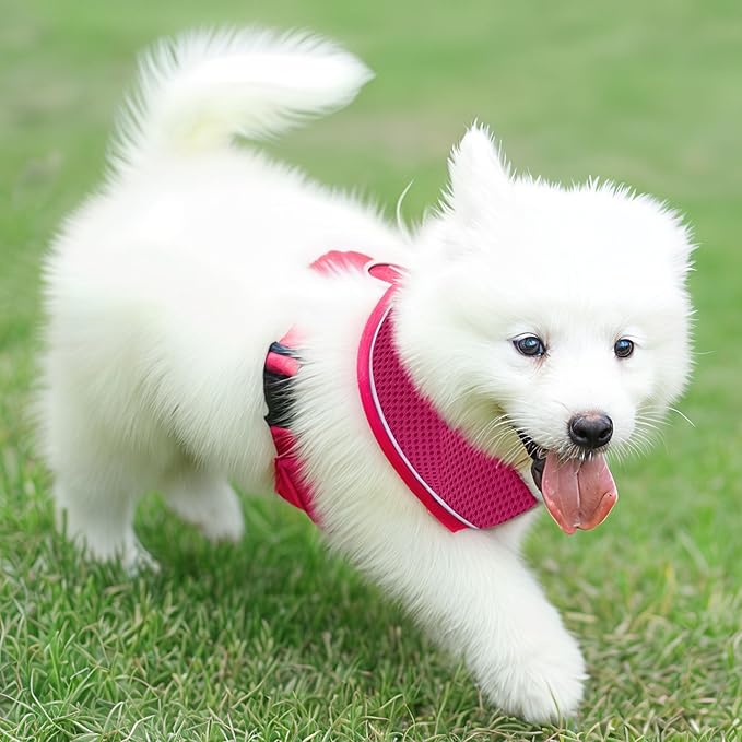 AIITLE Choke-Free Dog Vest Harness with Triple-Layer Mesh, Reflective & Adjustable Chest Belt, Easy On/Off for Pekingese, Schnauzer – Durable for Daily Walks, Parties (L, Hot Pink)