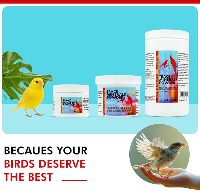 Morning Bird Trace Minerals Powder 16 Oz – Complete Mineral Supplement for Birds – Promotes Energy, Metabolism & Enzyme Activity – Easy to Mix for Daily Vitamin Support.