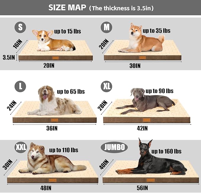 Patas Lague Orthopedic XL Dog Bed Large Sized Dog 48''X30'', Waterproof Soft Comfortable Egg Crate Foam Large Pet Beds Crate Mat with Removable Washable Cover and Nonskid Bottom, Brown