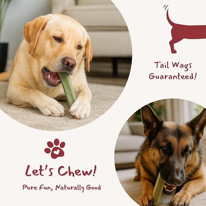 Majestic Pet Himalayan All-Natural Yak Cheese Dog Chews Made with 100% Cows Milk- Long Lasting Dental Chew for Dogs - Healthy Pet Treats (Digestive & Immune Support, Regular, 1 Pack)