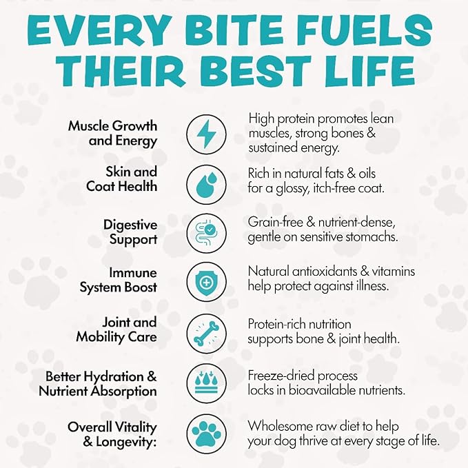 Freeze Dried Dog Food for Small & Large Breeds Dogs, 6 Oz Beef Dog Food Toppers for Picky Eatres, Made in USA - Grain Free & All Natural Freeze Dried Dog Treats Made with 96% Meat Organs