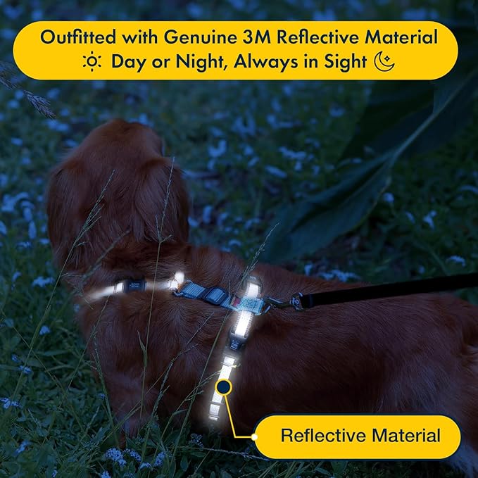 No Pull Harness with Fully Customizable Fitment for XL Dogs - 3M Reflective Heavy Duty Harness for Walking & Training - No Choke Comfortable Collar Design, Made in USA XL-Black