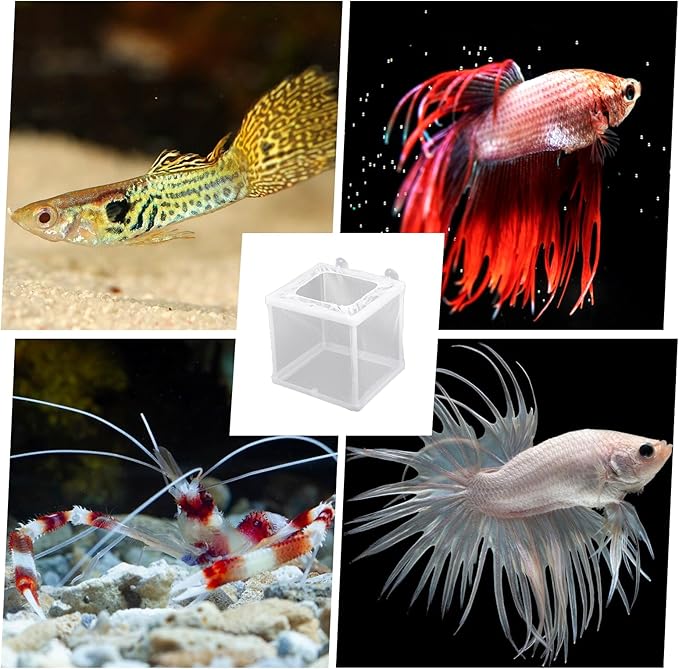 2 Pack Fish Incubator Mesh Box Aquarium, 6.3" x 5.51" x 5.91" Breeder Box for Fish Tank White Nylon Mesh Fishes Breeder Boxes for Aquarium Juvenile Fishes Separation Net Fry Hatchery with Suction Cups