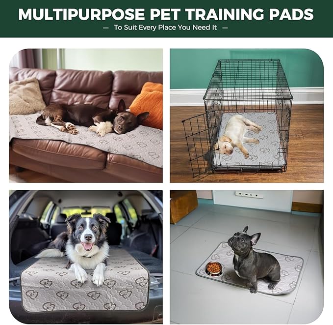 FXW Washable Pee Pads for Dogs, Puppy Pads with Super Absorbent, Specifically Designed for Whelping Box, 39" Round, Khaki, 2 Packs