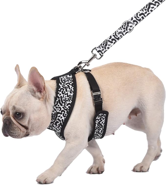 Now House for Pets by Jonathan Adler Jonathan Adler: Now House Leo Reversible Harness, Large | Stylish, Fashionable, and Functional Way to Keep Your Dog Looking Great | Adorable Dog Accessories