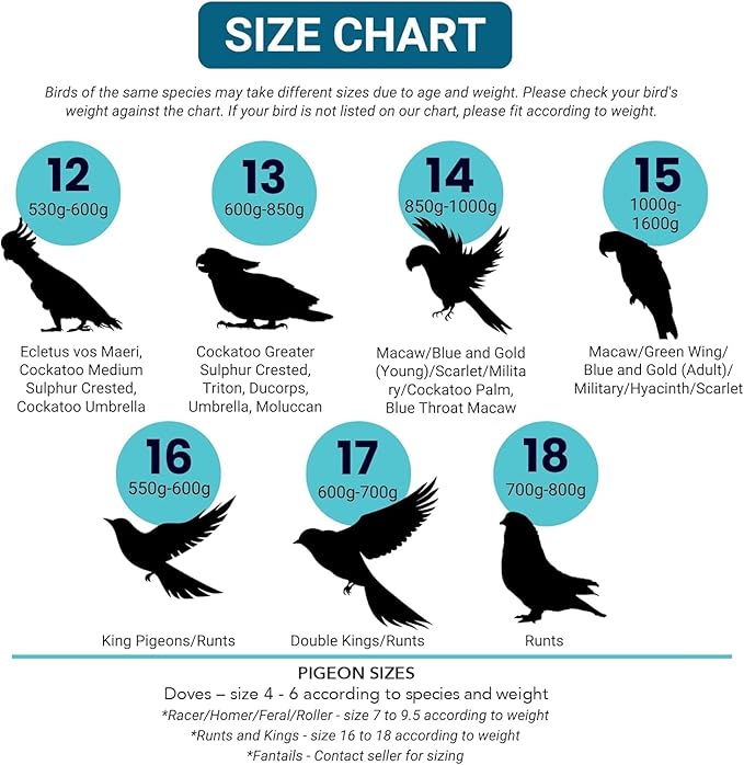 Bev's Bird Boutique Regular Flyper Adjustable Bird Diaper | Reusable, Washable Cloth | Comfort Fit for Parrot, Cockatiels, & Other Small Birds | Fashionable Avian Accessories, Navy & Red, Size 9.5