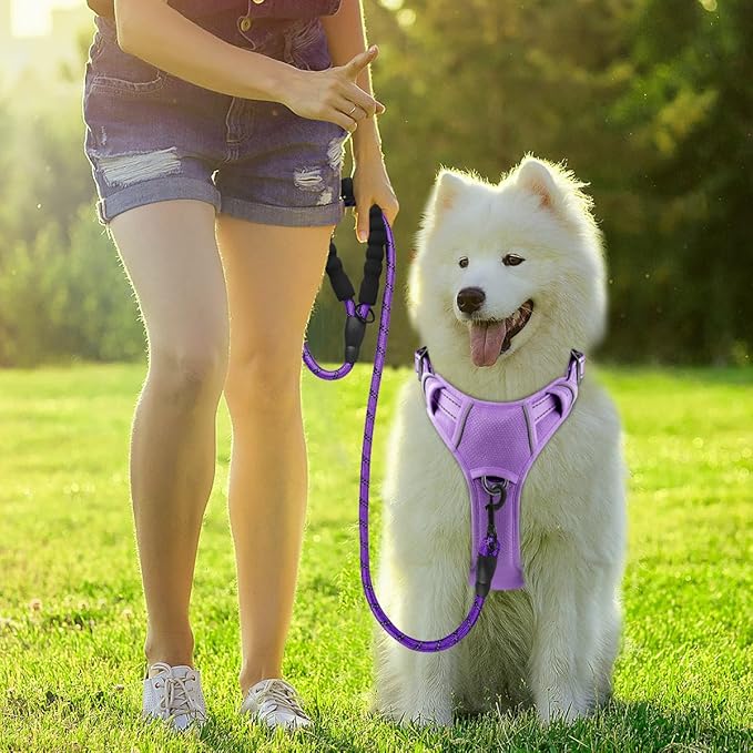 BARKBAY Dog Harness No Pull with ID Tag Pocket - Heavy Duty, Reflective, Easy Control for Small Dogs(Violet Purple,S)