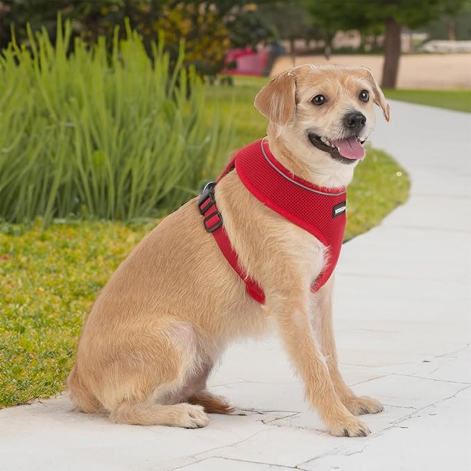 Best Pet Supplies Voyager Mesh Dog Breathable Harness Reflective Stitching, All Weather Adjustable for Walking Training, or Running - Heavy Duty & Durable, 220 Style (Red), S