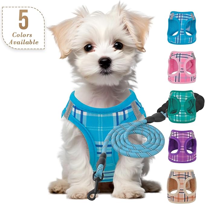Athena Collection Small Dog Harness with 5 ft Leash, Step-in Dog Harness Leash Set Extra Small No Pull Dog Vest Harness with Reflective Strips Adjustable Velcro, Easy Walk Puppy Harness, Blue