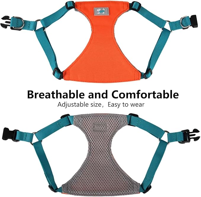 Beirui Small Dog Harness and Leash Set, No Pull Step-in Harness for Puppy, Lightweight Air Mesh Pet Harness for Small Dogs (Orange, XS)