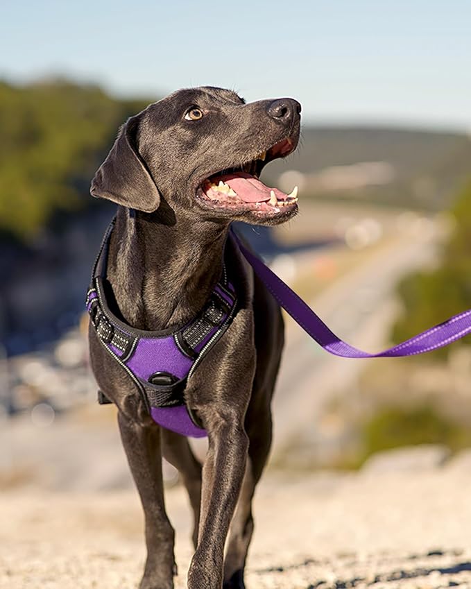 Joytale No Pull Dog Harness for Small Dogs, Reflective Pet Vest with Front Clip, Adjustable Soft Padded Harnesses with Easy Control Handle for Training and Walking, Purple, S
