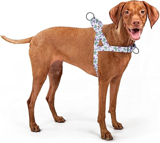 No Pull Dog Harness for Small, Medium, and Large Pets - Floral Pattern Nylon Safety Training Dog Harness (L, Butterfly)