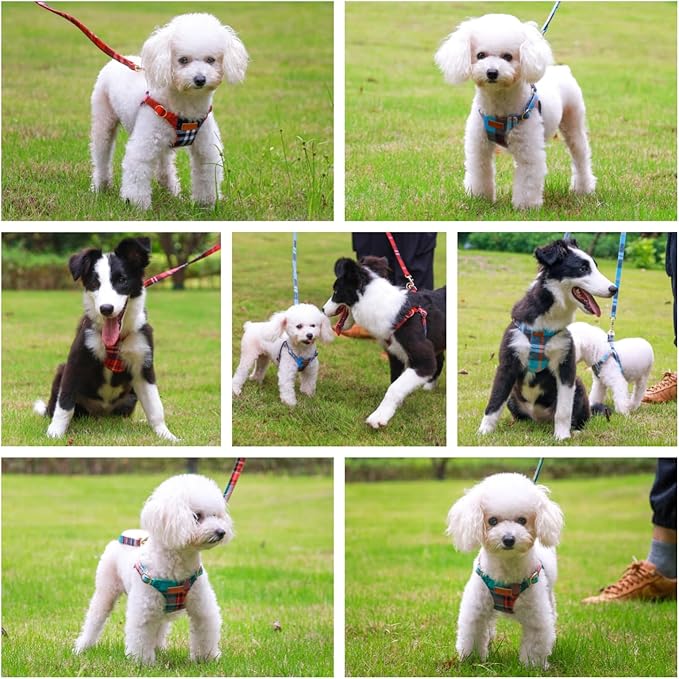 CHEDE No Pull Puppy Harness and Multifunction Dog Leash Set- 8 Colors Soft Adjustable No Choke Escape Proof Cute,Lightweight Pet Vest Harness for Small and Medium Dog (S, Blue Grid)