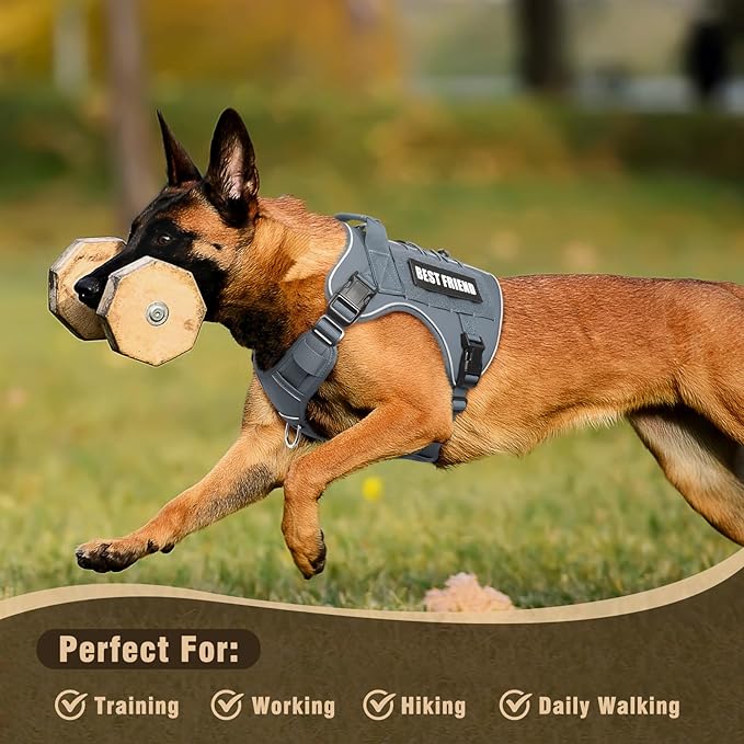 Tactical Dog Harness Small Sized Dog,No Pull Military Dog Vest with Handle,Reflective Heavy Duty Pet Harness for Walking Hiking Training Gray S