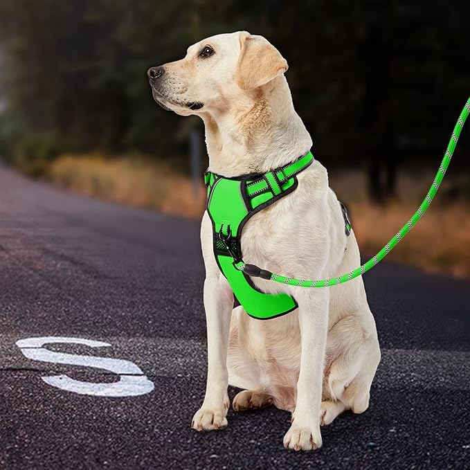 IVY&LANE No Pull Dog Harness for Small Dogs, Dog Vest Harness with Leash, Safety Belt and Storage Strap, Fully Adjustable Harness, 360° Reflective Strip, Soft Handle (Green,S)