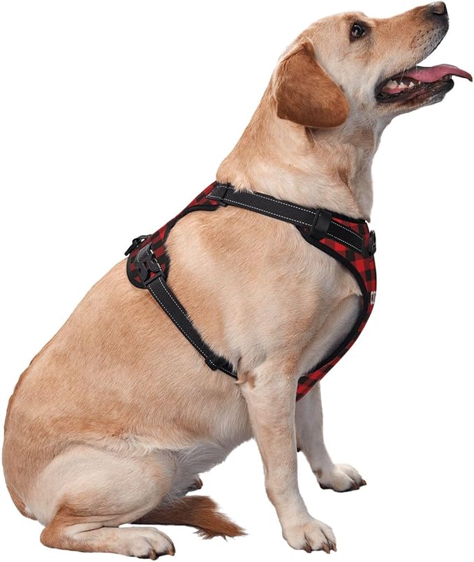 Custom Name Harness for Dog, Customized Pet Harnesses for Large Dogs, Personalized Dog Harness for Small Dog, Custom Pet Vest for Puppy, No Pull Dog Vests Personalization, OrangeRed, L