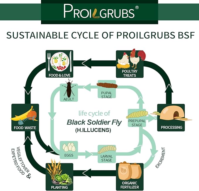 PROILGRUBS 30 LBS All Natural Black Soldier Fly Larvae Treats - Non-GMO Dried Grubs for Chickens, Hens, Birds - Meal Worms