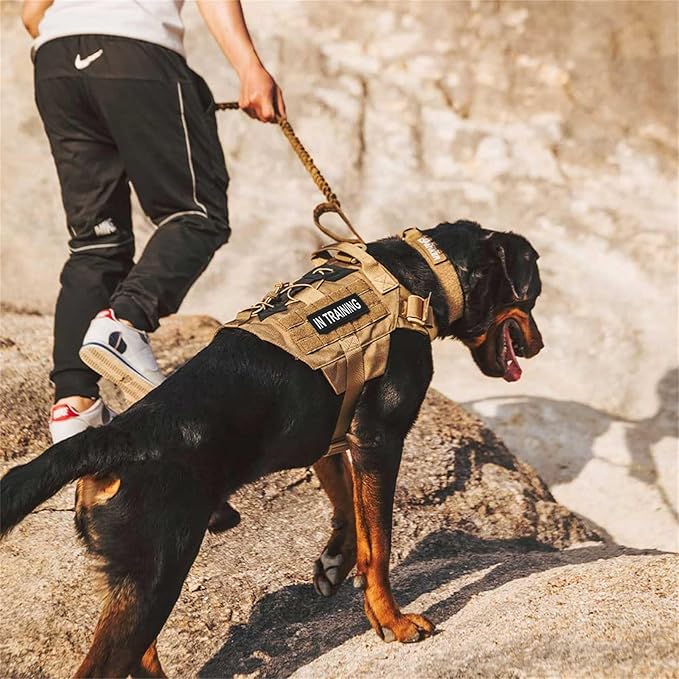 EXCELLENT ELITE SPANKER Dog Harness Tactical Military Dog Harness Adjustable No-Pull Dog Harness Training Hunting Dog Tactical Vest with Handle(BLK-L)