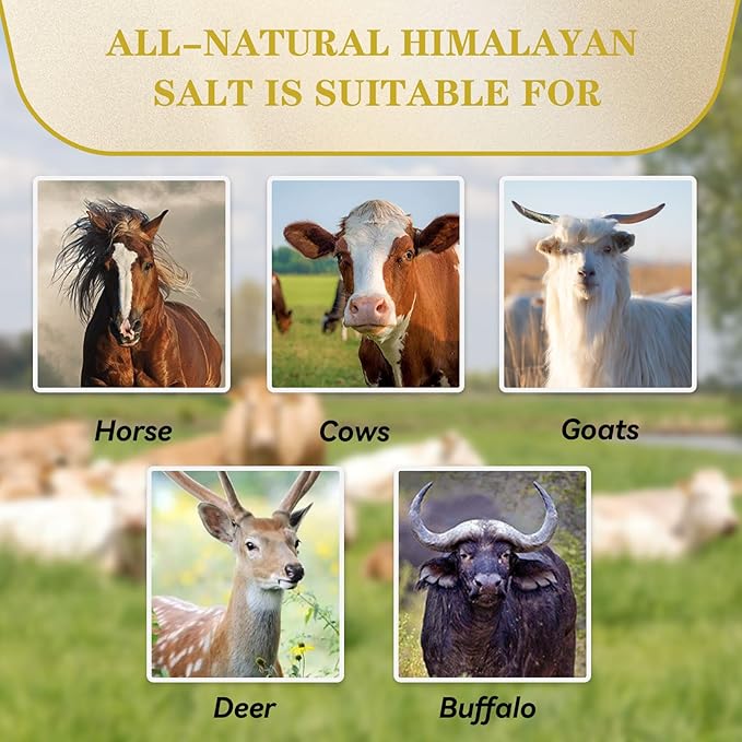 3 Pack Himalayan Salt, Lick Natural Mineral Block Rope Long-Lasting Raw Pink Salt Lick Suitable for Horses, Deer, Cattle, Goats and Other Livestock(7.2-9.9LBS)