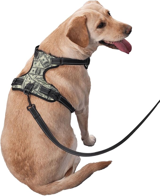 No Pull Dog Harness for X-Large Dogs Easy Walk Dog Vest Adjustable Collars Harnesses & Leashes Set Breathable Oxford Outdoor Walking Safety Reflective Strip Dollar Cash Prints