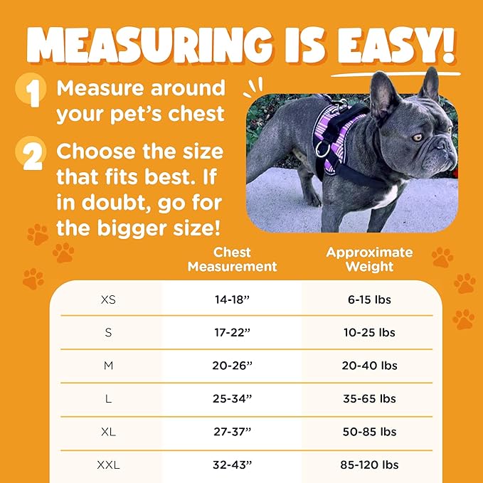 Bark Appeal Purple No-Pull Dog Harness for Medium to Large Sized Pets – Adjustable, Reflective Vest with 3 Leash Clips for Added Control, Easy Walks & Training – Large
