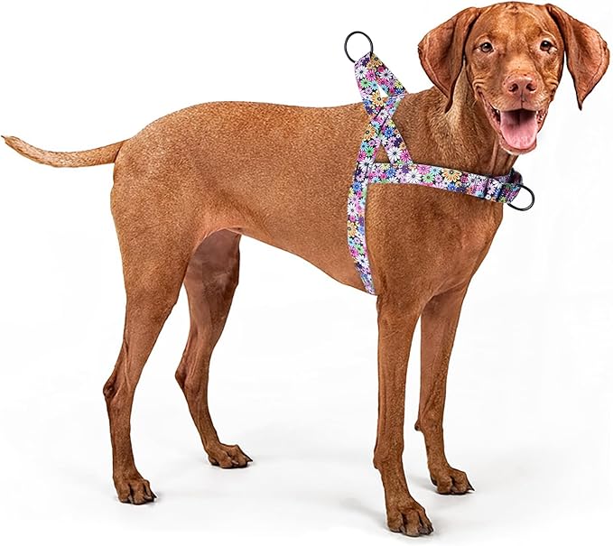 No Pull Dog Harness for Small, Medium, and Large Pets - Floral Pattern Nylon Safety Training Dog Harness (L, Fireworks)