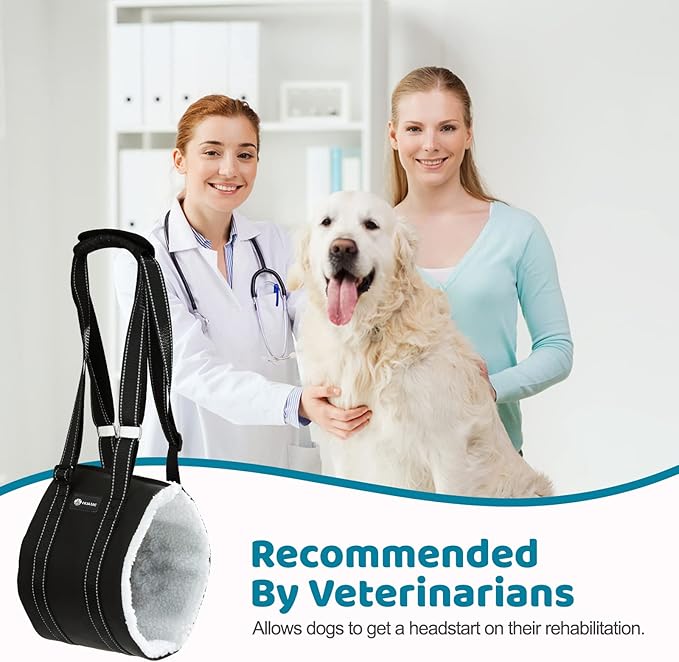 20-130 lbs Dog Lift Harness for Large Dogs, Dog Sling for Large Dogs Hind Leg Support, Dog Support Harness for Back Legs, Help Lift Rear for Canine, Up and Down Stairs, Canine Aid (Medium) Black