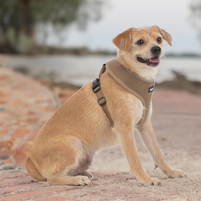Best Pet Supplies Voyager Mesh Dog Breathable Harness Reflective Stitching, All Weather Adjustable for Walking Training, or Running - Heavy Duty & Durable, 220 Style (Beige), XL