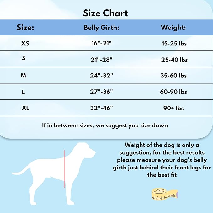 ShawnCo Dream Walk No-Pull Dog Harness- Adjustable, Comfortable, Easy to Use Pet Halter to Help Stop Pulling for Small, Medium and Large Dogs (Rose Gold, S)
