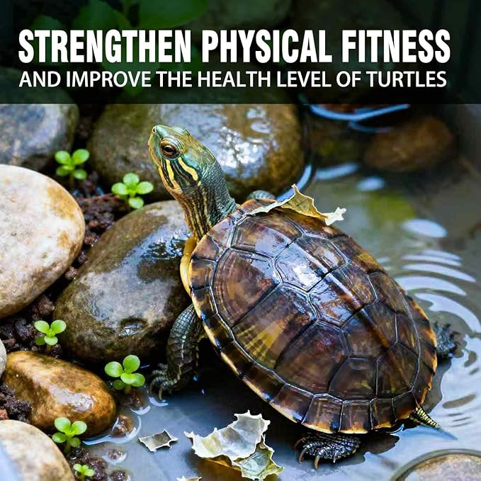 Freeze-Dried River Shrimp – Premium Turtle Food, Reptile & Bird Treat – High-Protein Shrimp for Turtles, Aquatic Pets, Tropical Fish, 1.5 oz