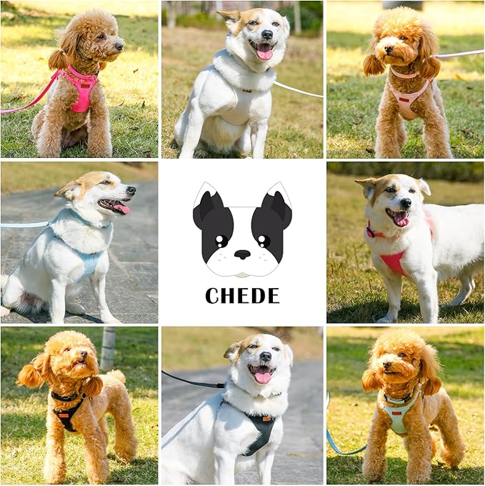 No Pull Dog Harness- Lightweight, Soft, Adjustable Small Harness Collar and Leash Set, Suitable for Cats Puppy Small and Medium-Sized Dog Outdoor Training and Running (Black, XS)