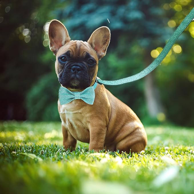 Bling Bow Tie Dog Collar and Leash Set, Cute Teal Boy Dog Collar with Bow and 5ft Leash for Medium Dogs Daily Walking or Christmas Holiday (Neck fit 13-19’’)